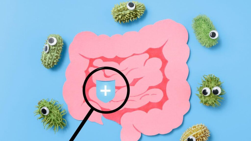 Ciclismo e microbioma: uma relação surpreendente
